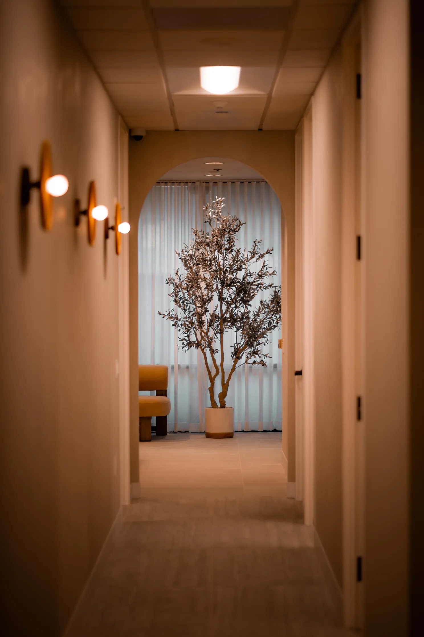 Warmly lit hallway with wall sconces and a decorative tree in front of sheer curtains.